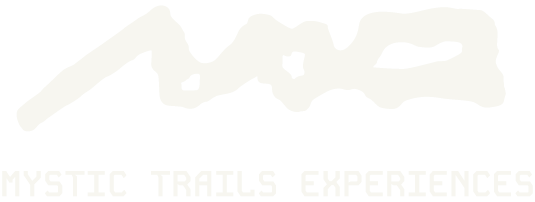 Mi tienda